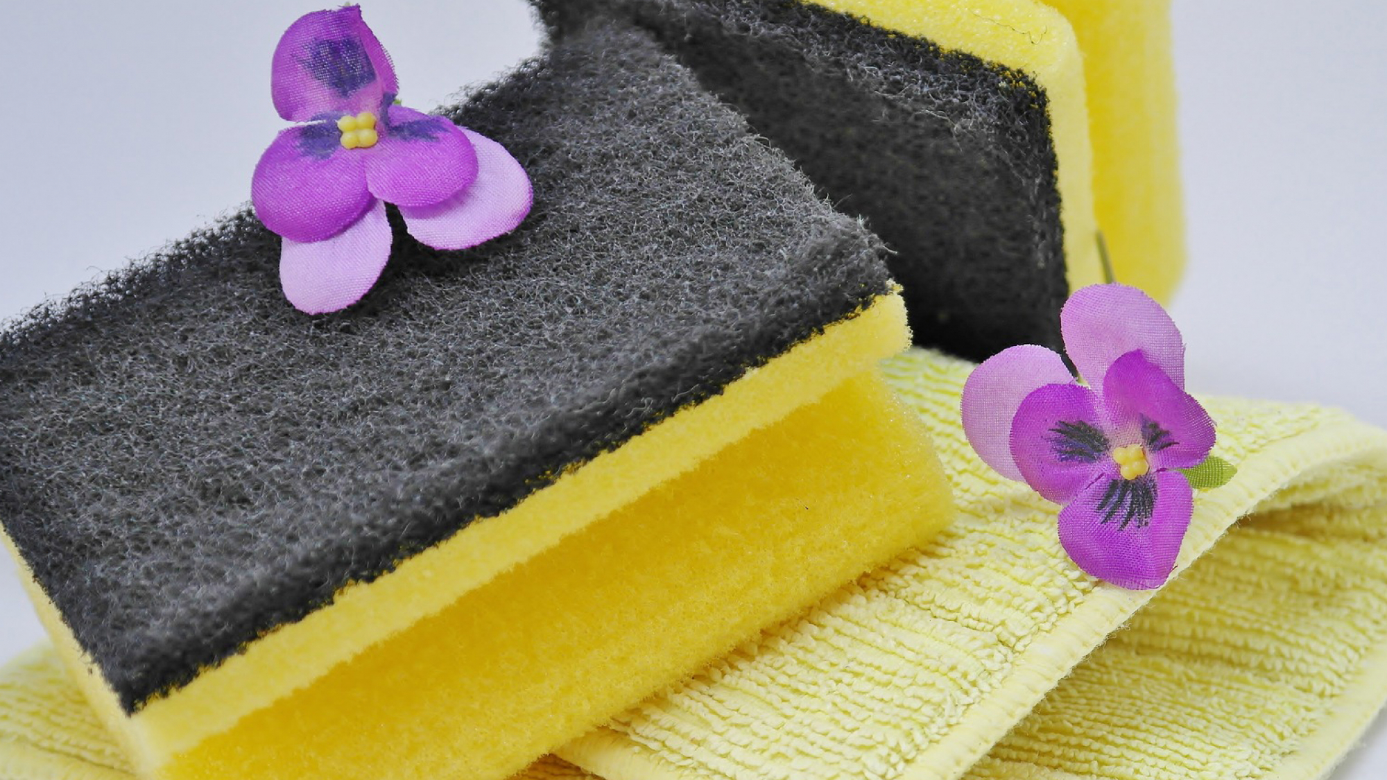 Lumina_Frühjahrsputz_Imagebild